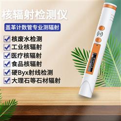 核辐射检测仪（便携式） 型号:HFS-P3 库号：D2327
