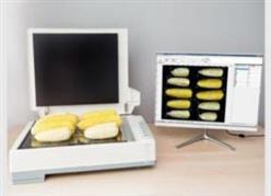 智能考种分析系统 (含玉米果穗）  型号:DFHB-409468 库号：D409468