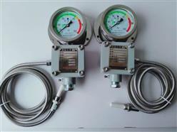 压力式温度计 型号:WTZd-283(z)库号：D409544