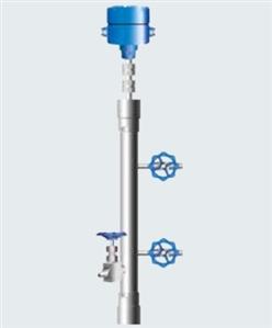 电容式液位计 型号:CAP-3031-S-0-0-L-300mm库号：D408982