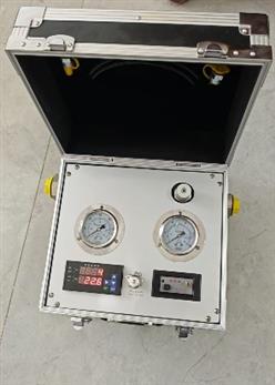 便携式液压测试仪  型号:DFHB-409679 库号：D409679