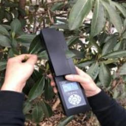 叶面积测量仪  型号:DF-236372 库号：D236372