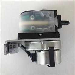 蠕动泵 型号:ANR 20250010 库号：D404906