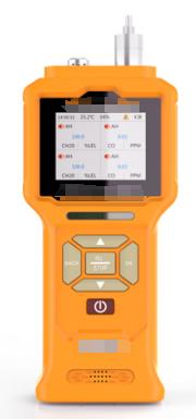 泵吸式氨气检测仪（0-100ppm） 型号:GT903-X-NH3 库号：D399734