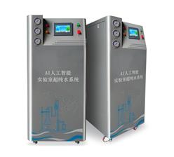 人工智能实验室纯水系统 型号:UP-60W 库号：D410490