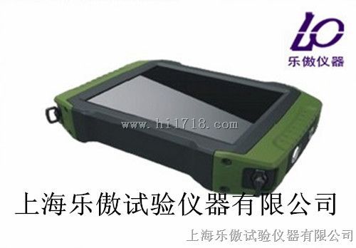 低应变桩基测试仪JWZJ-810