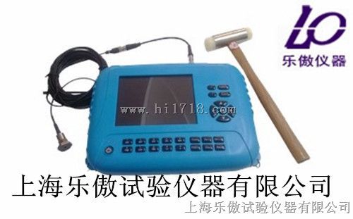 反射波法基桩完整性检测分析仪P61