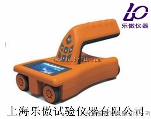 一体钢筋位置测定仪R81