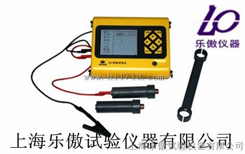钢筋锈蚀仪R61