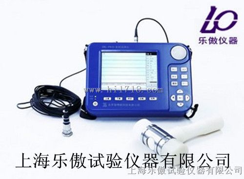基桩动测仪ZBL-P810
