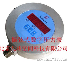 北京振弦式数字压力表生产