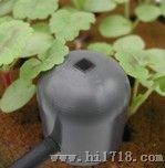 紫外辐射传感器生产/型号SU-100