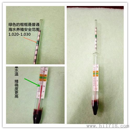 供应海水温度计/盐度比重计