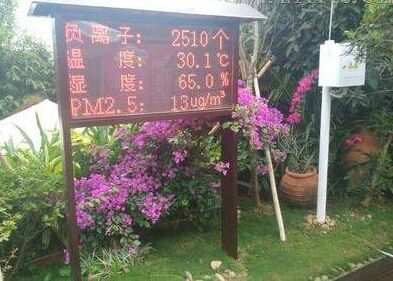 在线景区负离子测定仪