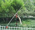 植被（覆）盖度仪