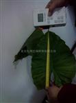 作物农艺形态测量仪