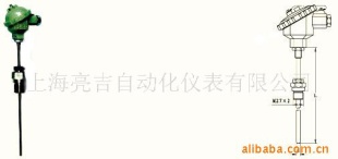供应轴承热电偶/热电阻