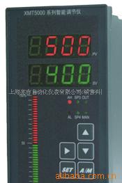 供应XMTW-5000转速表