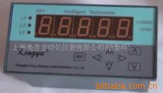 供应SKY125-4智能测速仪