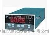 HZW-Z智能胀差监控仪
