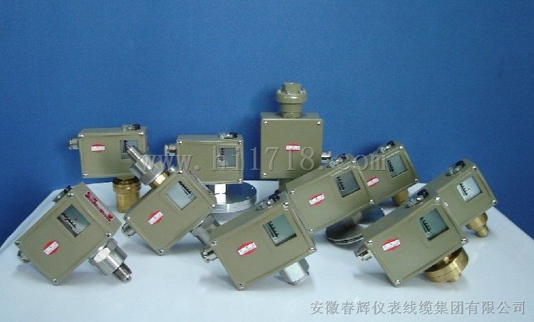 温度控制器D500/6T