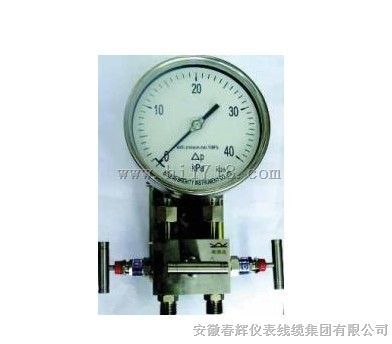 双膜片式高静压差压表 YCAN