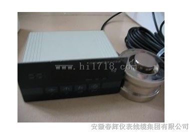 称重显示控制器XK3101（生产厂家）