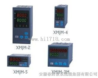 XMJB温度、压力补偿流量积算仪/XMJM流量积算仪