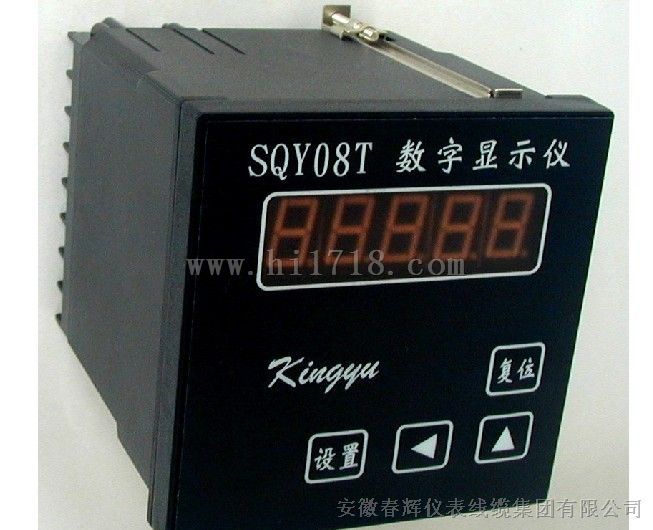 SQY08TD125-4数字显示仪（生产厂家）