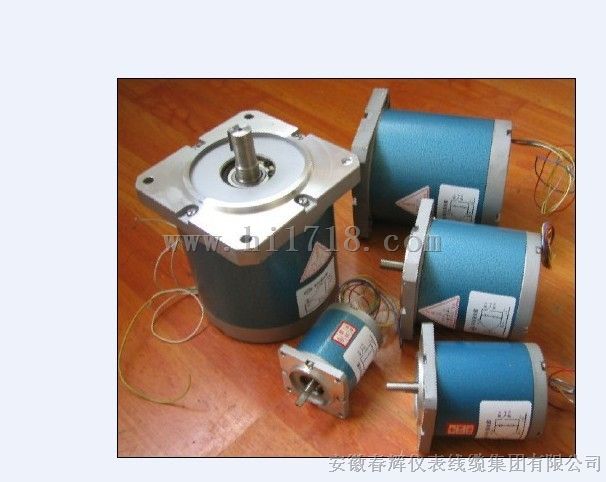 55TYD低速永磁同步电机