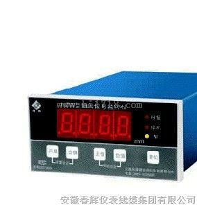 HZW轴向位移监测保护仪（安徽春辉集团）