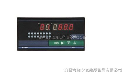 多回路智能温度巡检仪（生产厂家）