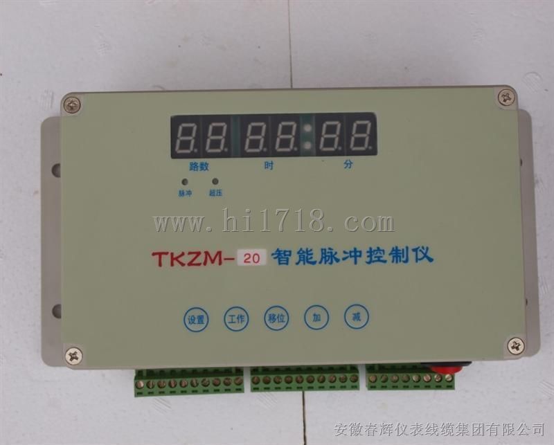 TKZM智能脉冲控制仪，TKZM-10，TKZM-11/12/13/14/15