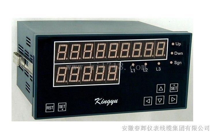 SQY01T+J105智能数字显示仪（智能测速仪）