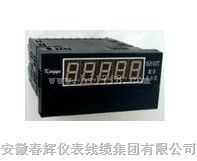 XJP-48T智能转速数字显示仪（测速仪表）
