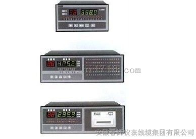 XMD5000系列智能多回路巡检报警仪