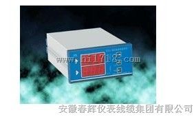 RDZW-2Na轴向位移(胀差)监视仪-双通道