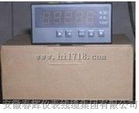 XSM系列转速、线速、频率测量控制仪