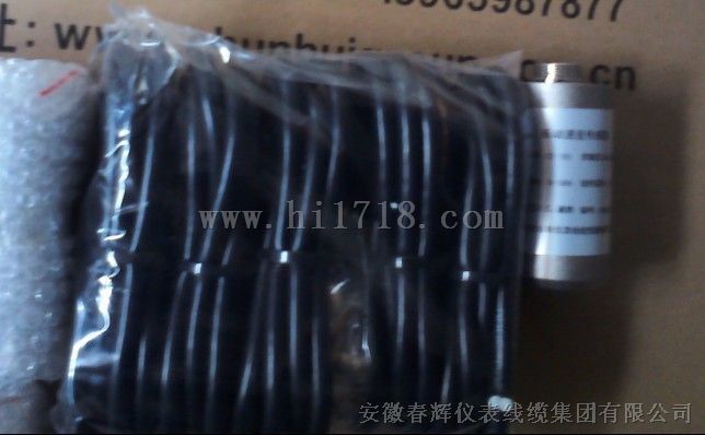 二线制振动变送器ZXP-T200