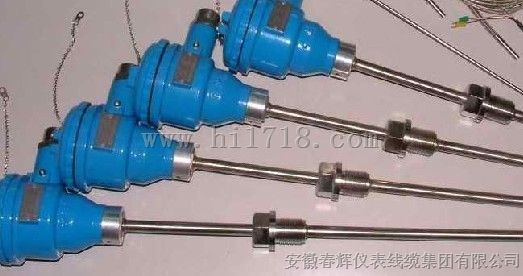 保护管型铠装防爆热电阻