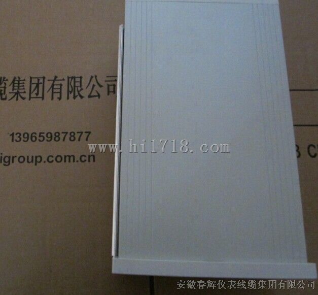 HZW轴向位移监控仪；配接WT系列电涡流传感器