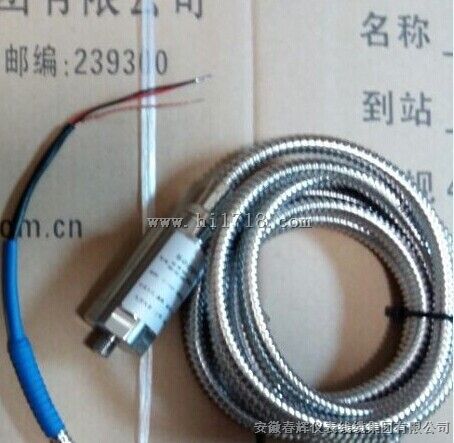 振动速度传感器VS-2，40mV/mm/s±5%