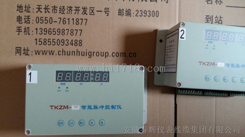 智能脉冲控制仪:TKZM-10，TKZM-20