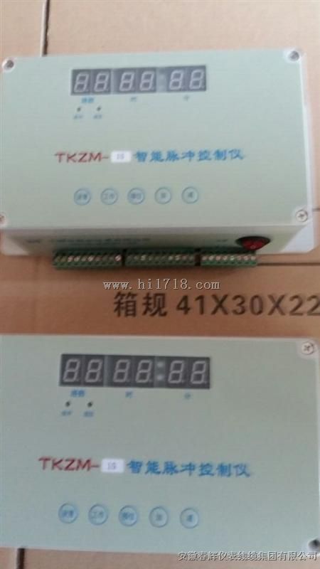 智能脉冲控制仪TKZM-20