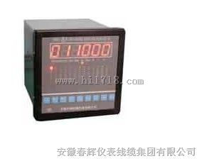 XMD-20-2D,XMD-20-2C,XMD-20B智能温度巡检仪