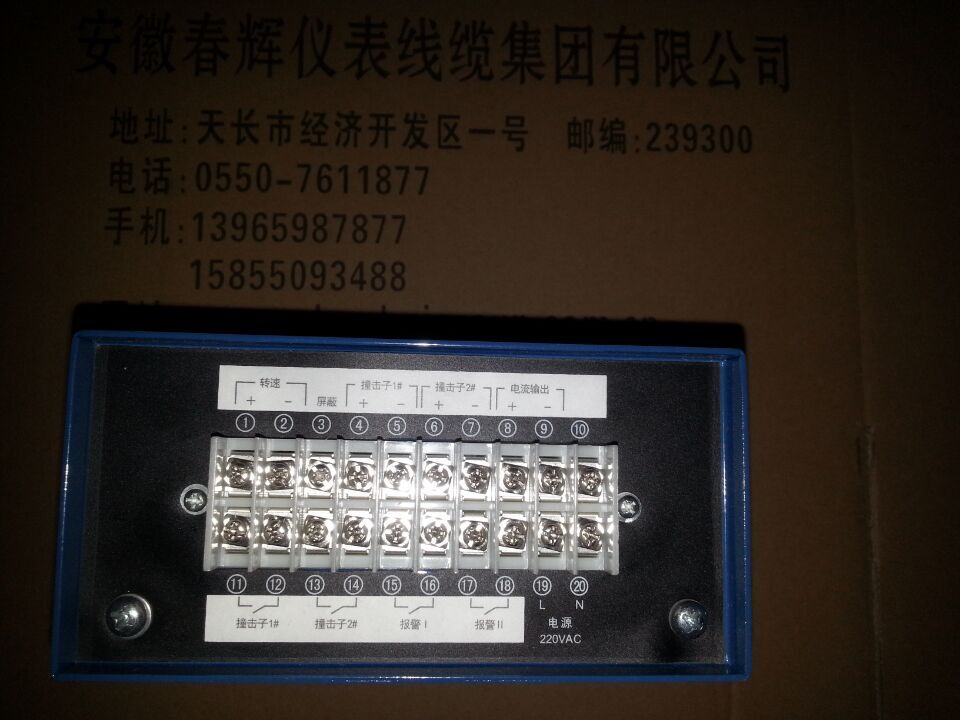 转速撞击子监视仪ZH2051