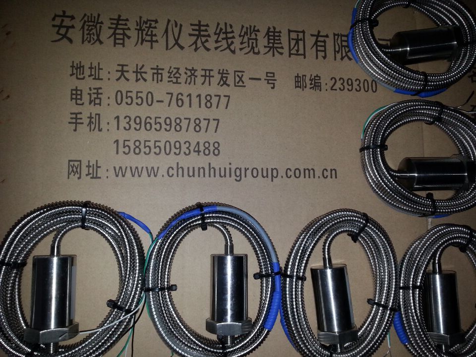 RS9200V-F-01-06-03振动速度传感器RS9200H-F-01-06-03