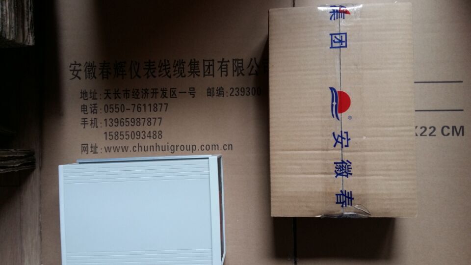TRS-2/2F/5F-A2-B2-C01-D4500转速监测保护仪