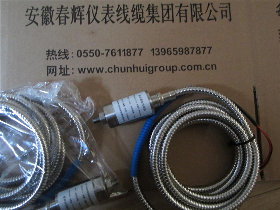 JX60V-20-02-00，JX60G振动速度传感器