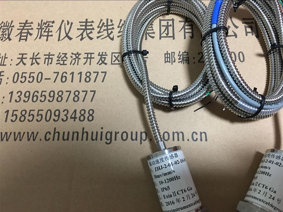 ZHJ-2-01振动探头传感器